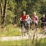 Modern Op De Veluwe *