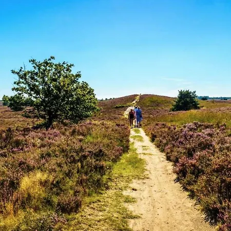 Alpstuga Modern Op De Veluwe *