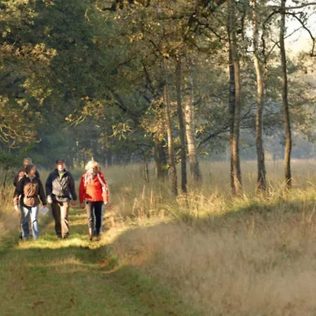 Modern Op De Veluwe