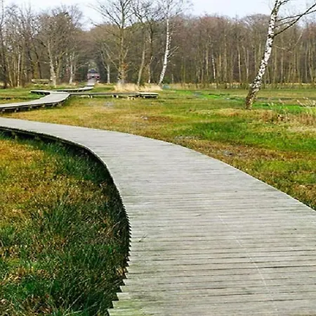 샬레 Modern Op De Veluwe *