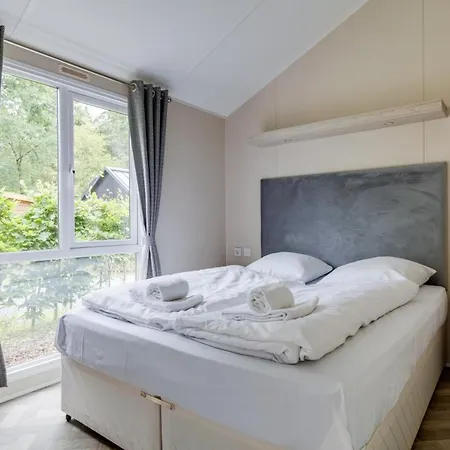 Modern Op De Veluwe