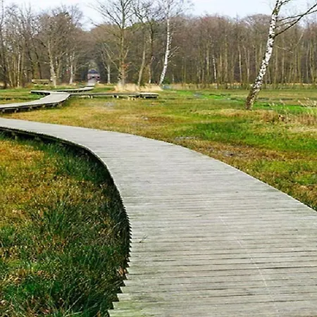 Chalet Modern Op De Veluwe