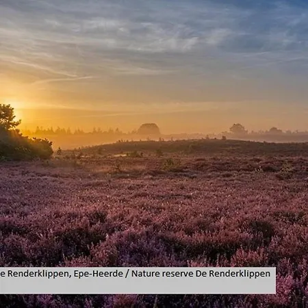 Modern Op De Veluwe *