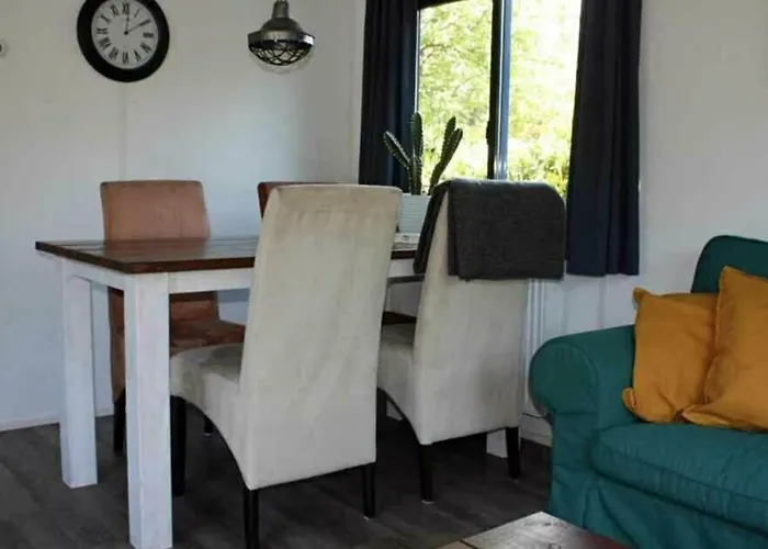 Chalet Modern Op De Veluwe Epe
