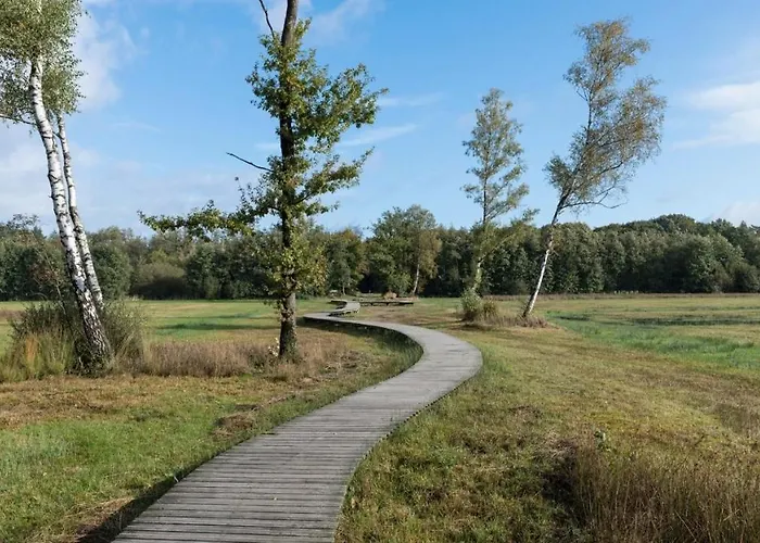 Modern Op De Veluwe * Epe