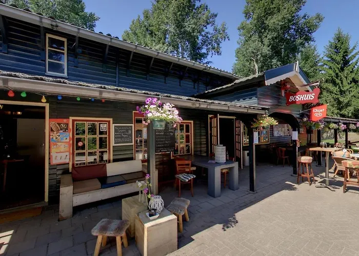 Modern Op De Veluwe Chalet Epe