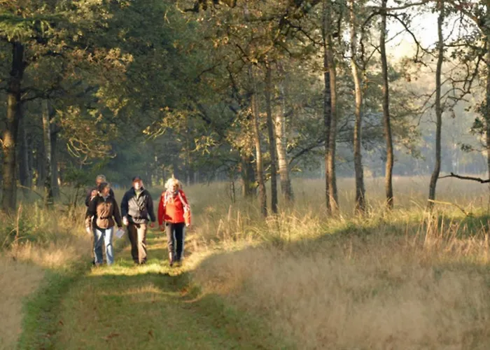 Modern Op De Veluwe