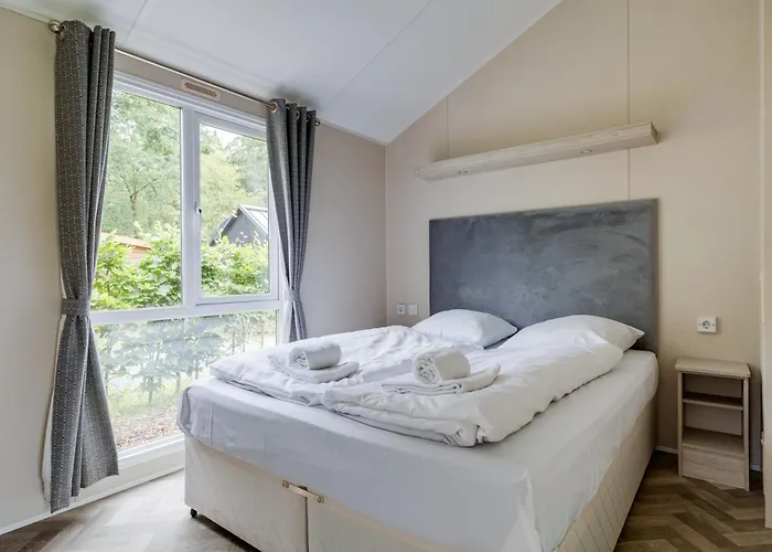 Modern Op De Veluwe *