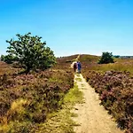 Horská chata Modern Op De Veluwe *