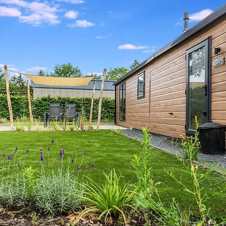 Modern Op De Veluwe 伊皮