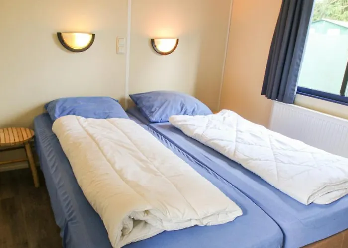 Modern Op De Veluwe 木屋