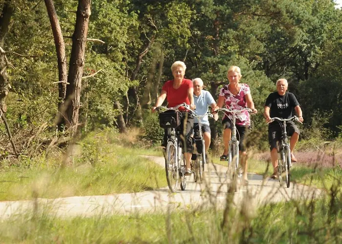 Modern Op De Veluwe *