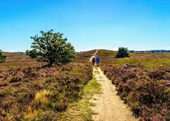 木屋 Modern Op De Veluwe *