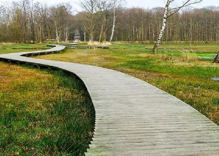 木屋 Modern Op De Veluwe *