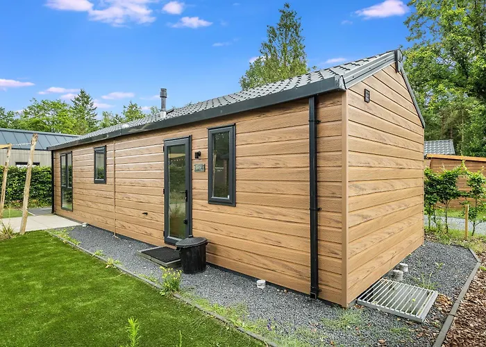 Modern Op De Veluwe 木屋 伊皮