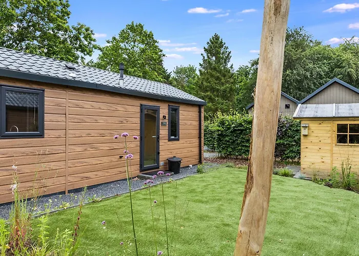 Modern Op De Veluwe *