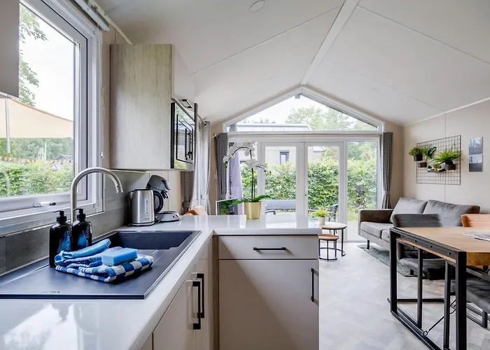 Modern Op De Veluwe 木屋