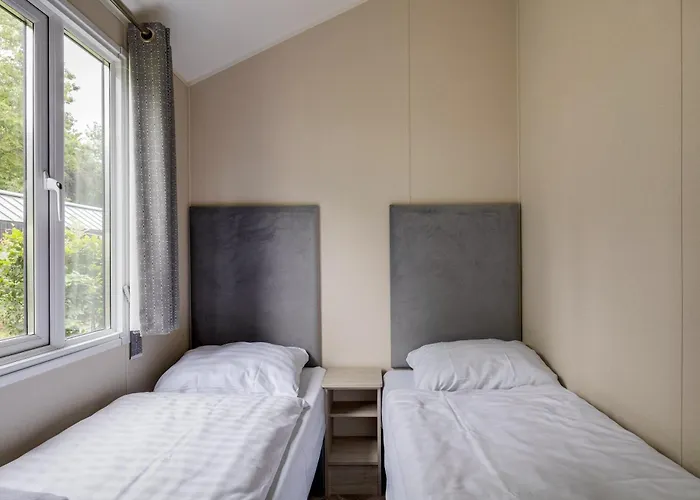 Modern Op De Veluwe *