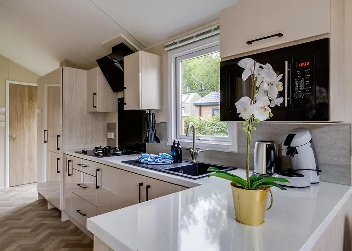 Modern Op De Veluwe * 伊皮