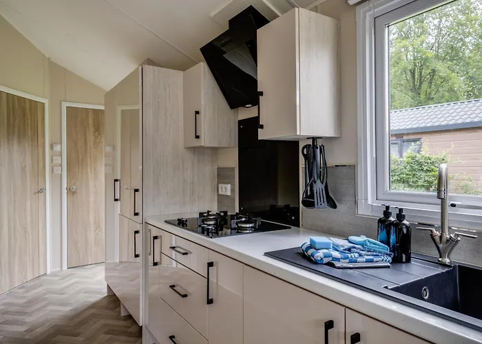 Modern Op De Veluwe 木屋 伊皮